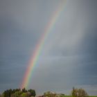 Der Regenbogen