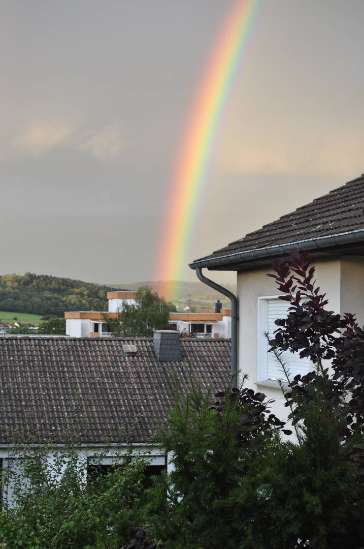 Der Regenbogen