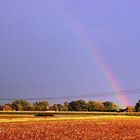 ...der Regenbogen des Gefühls..