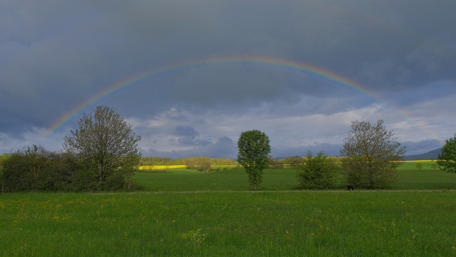 der Regenbogen (el arco iris)