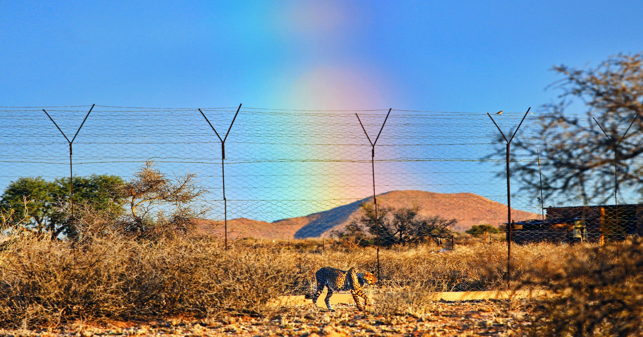 Der Regenbogen in Afrika