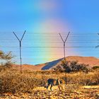 Der Regenbogen in Afrika