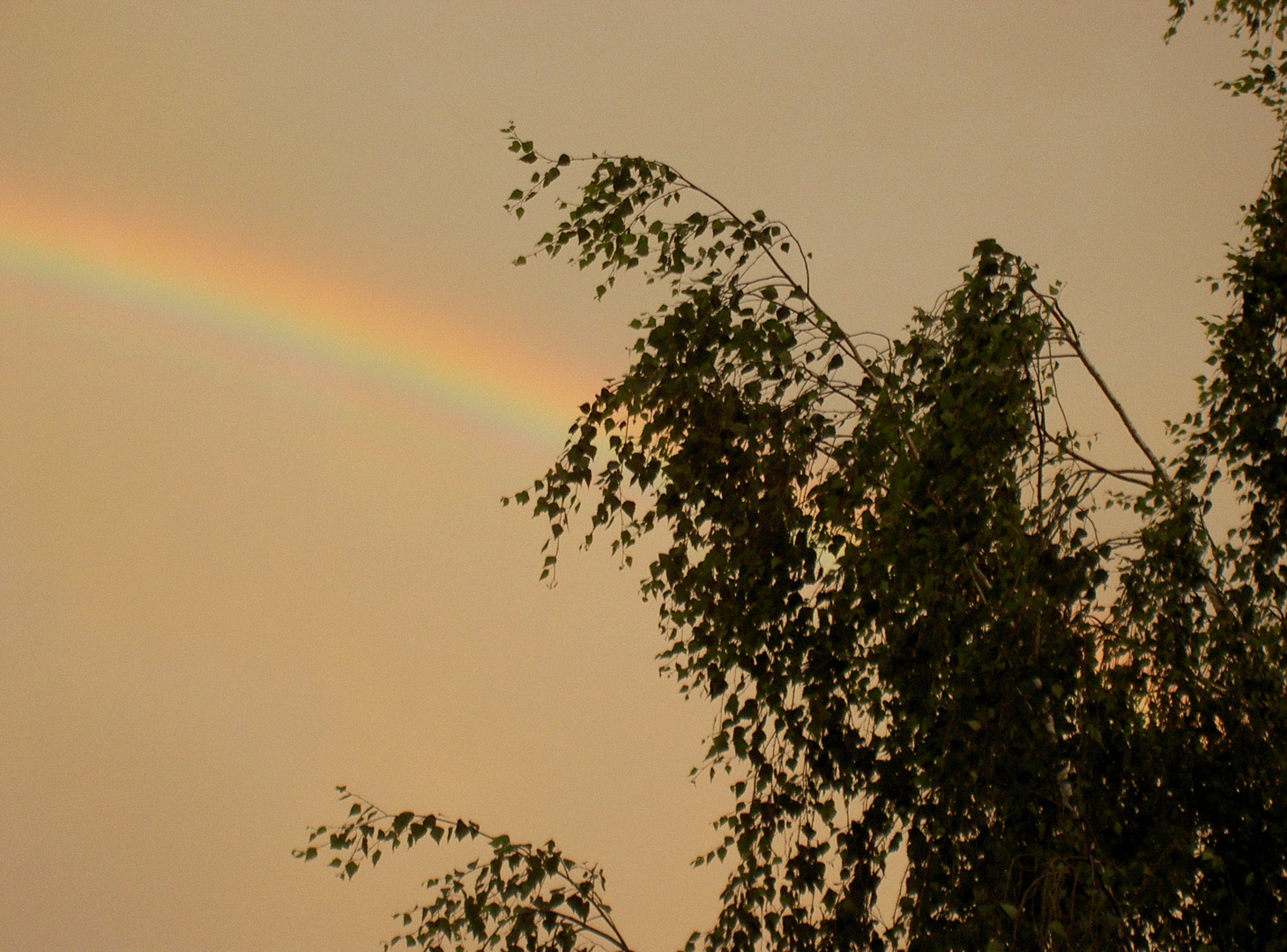 Der Regenbogen über Leipzig West