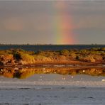 Der Regenbogen und Spiegelungen...