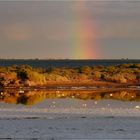 Der Regenbogen und Spiegelungen...