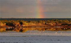 Der Regenbogen und Spiegelungen...