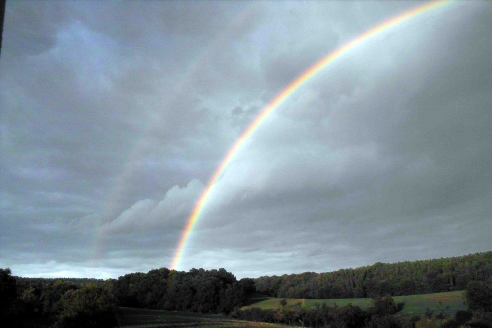 Der Regenbogen zweiter Teil