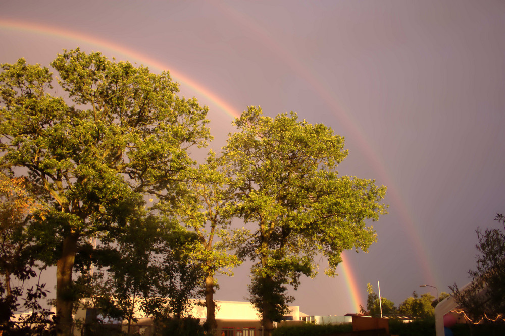 der regenboog