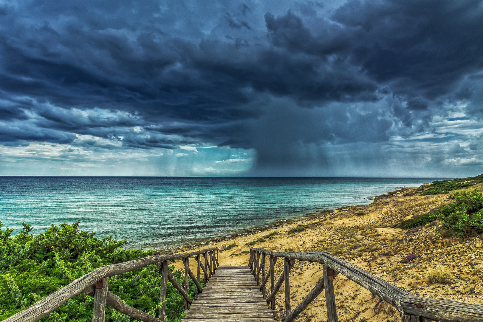 Der Regenschauer