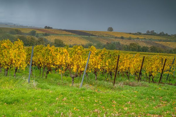 Der Regenschauer kommt.