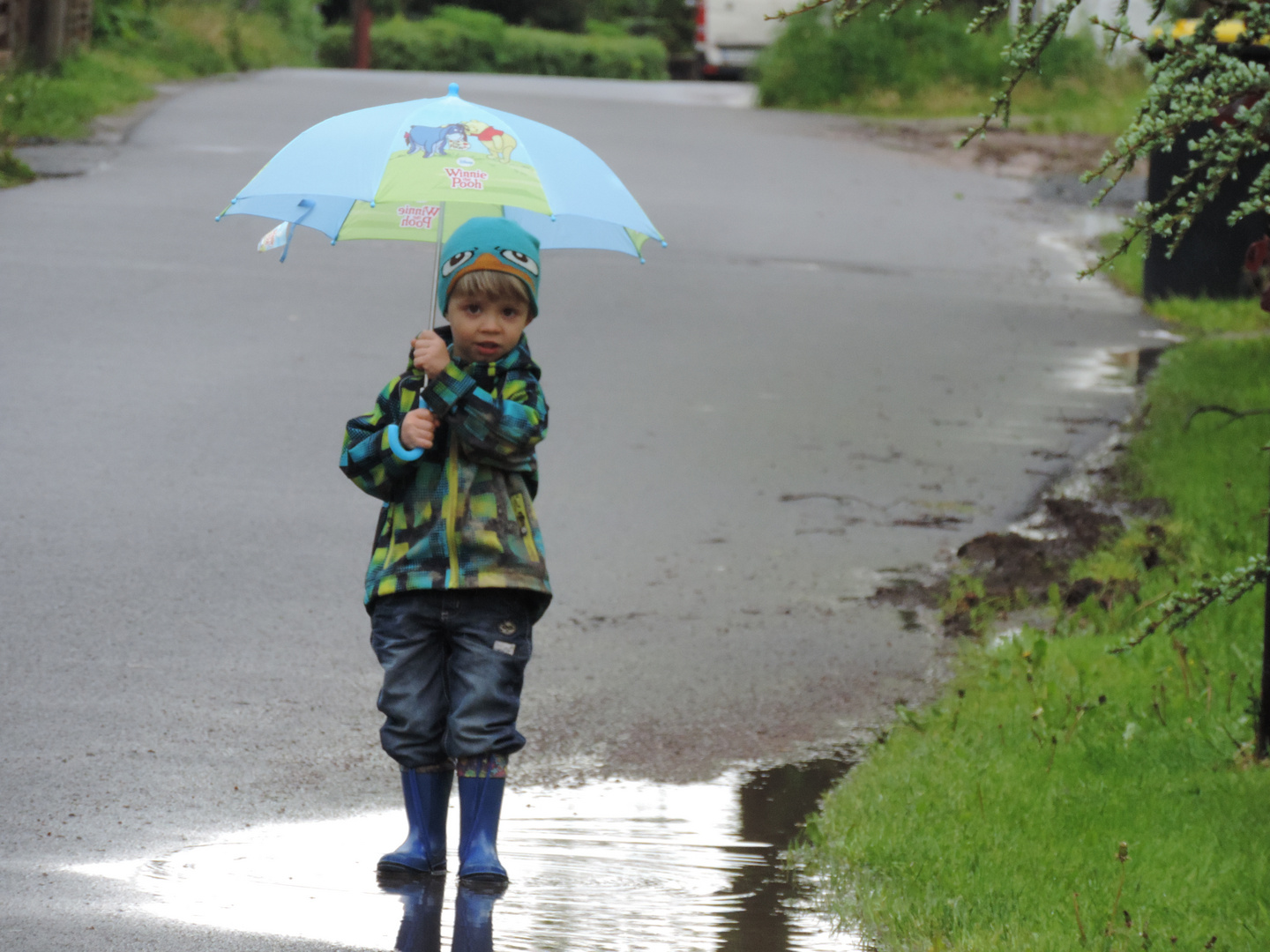 Der Regenschirm