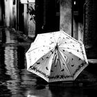 Der Regenschirm