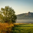 Der Regenstein über dem Morgennebel