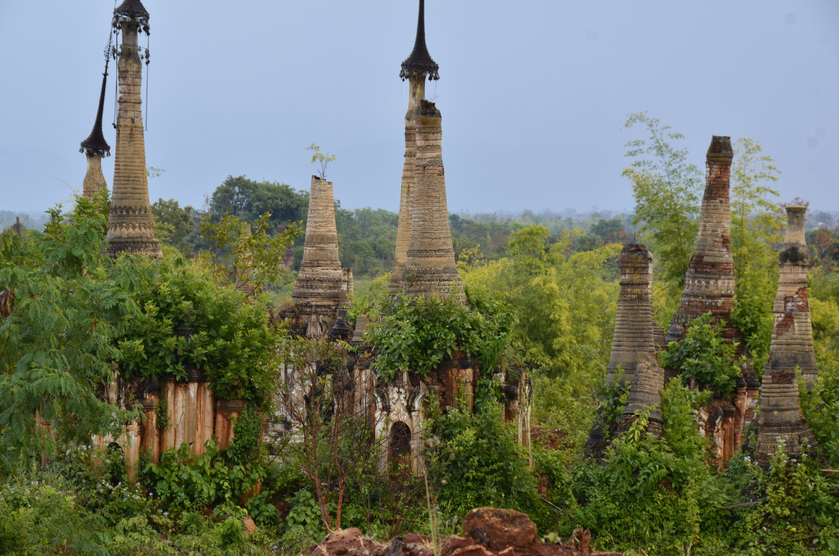 Der Regenwald erobert die alten Pagoden von Indein am Inle-See zurück, Myanmar