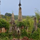 Der Regenwald erobert die alten Pagoden von Indein am Inle-See zurück, Myanmar