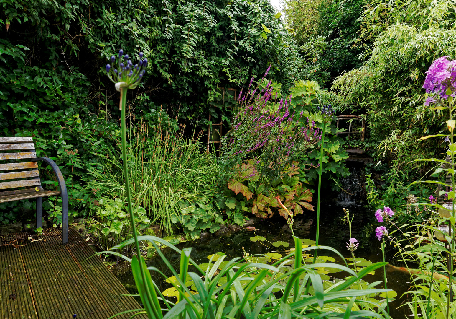 Der Regenwald im eigenen Garten