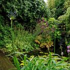 Der Regenwald im eigenen Garten