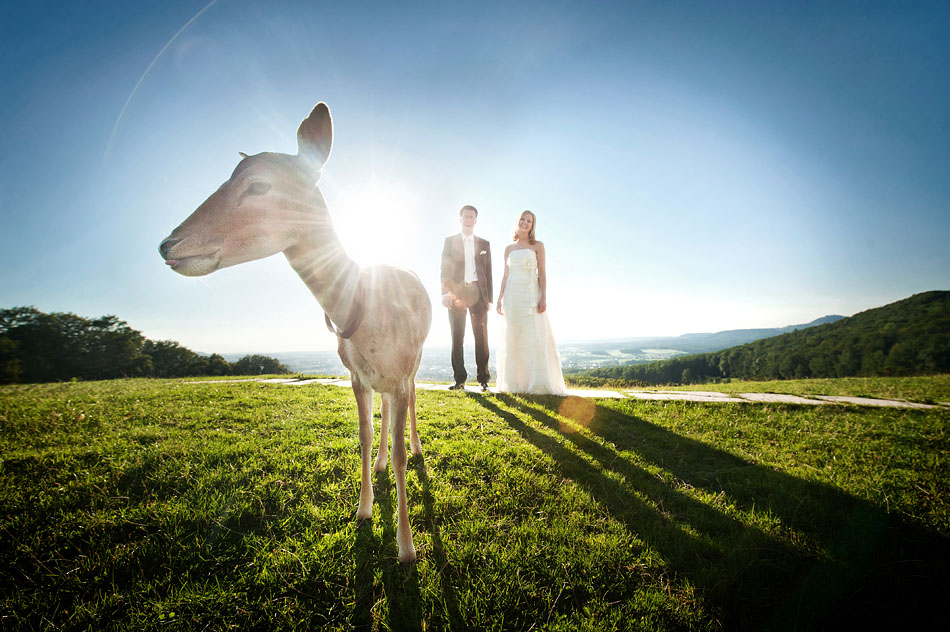 der rehflüsterer auf einer hochzeit