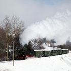 Der Reichsbahnzug 1005