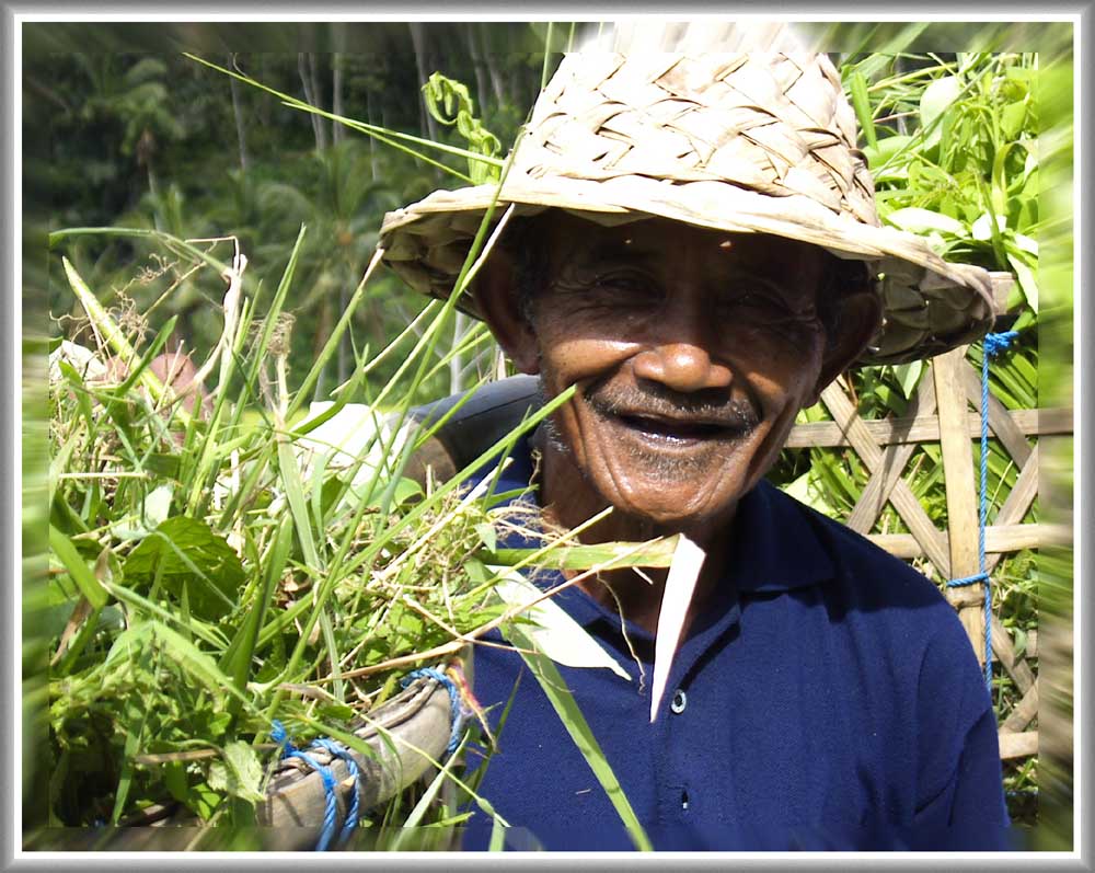 Der Reisbauer aus Bali