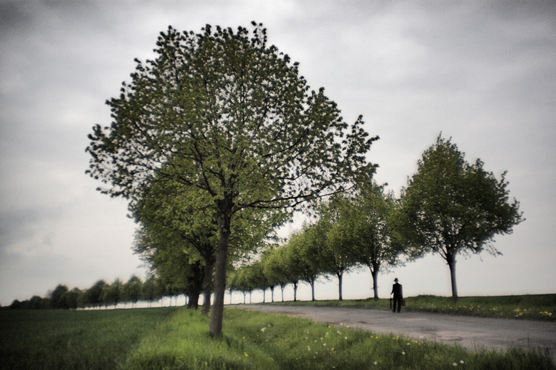 Der Reisende in der Allee