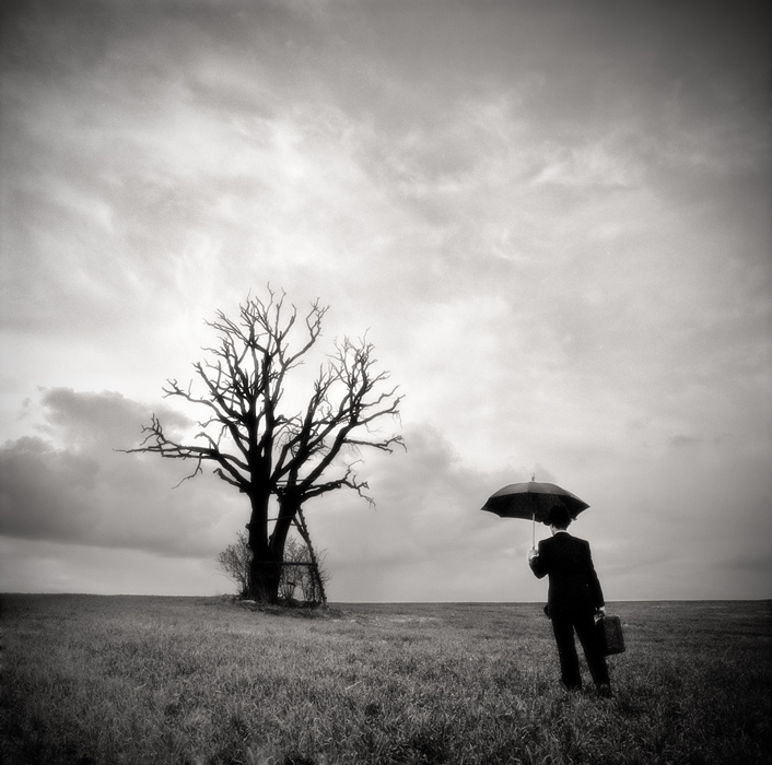 Der Reisende und der tote Baum