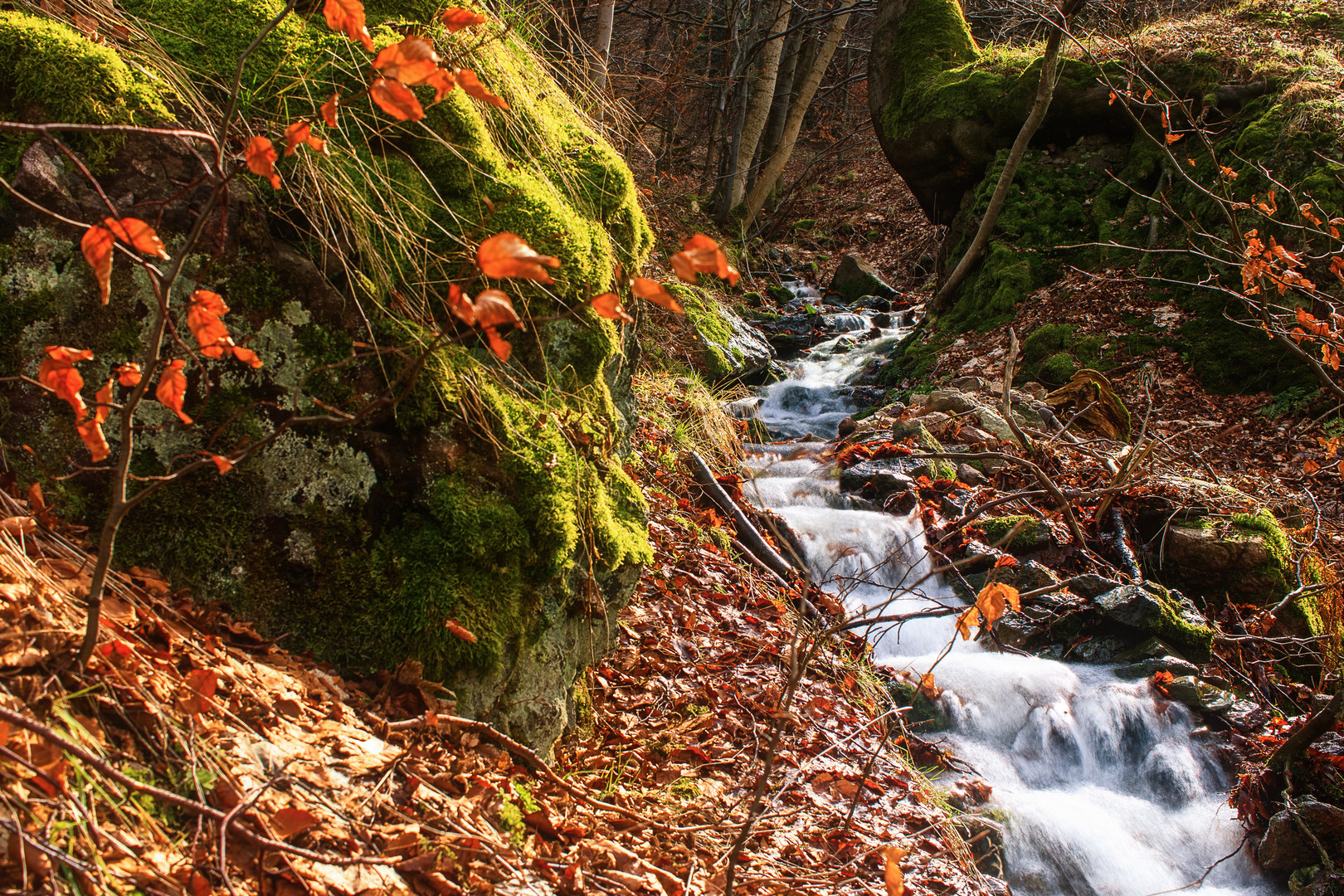 Der reißende Bach