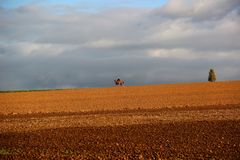 Der Reiter am Horizont