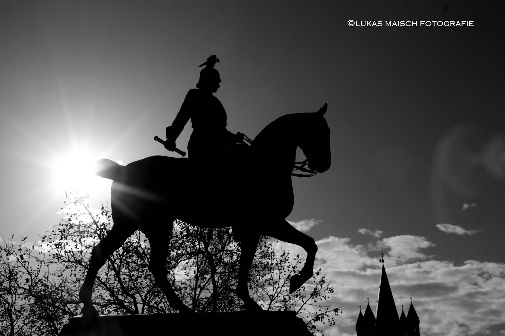 Der Reiter im Licht