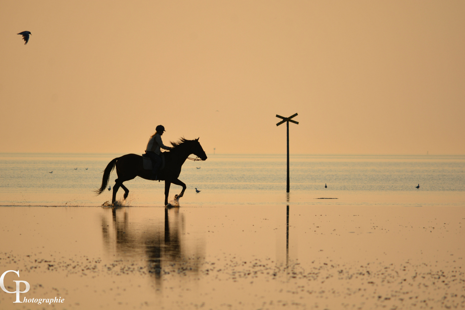 Der Reiter im Wattenmeer