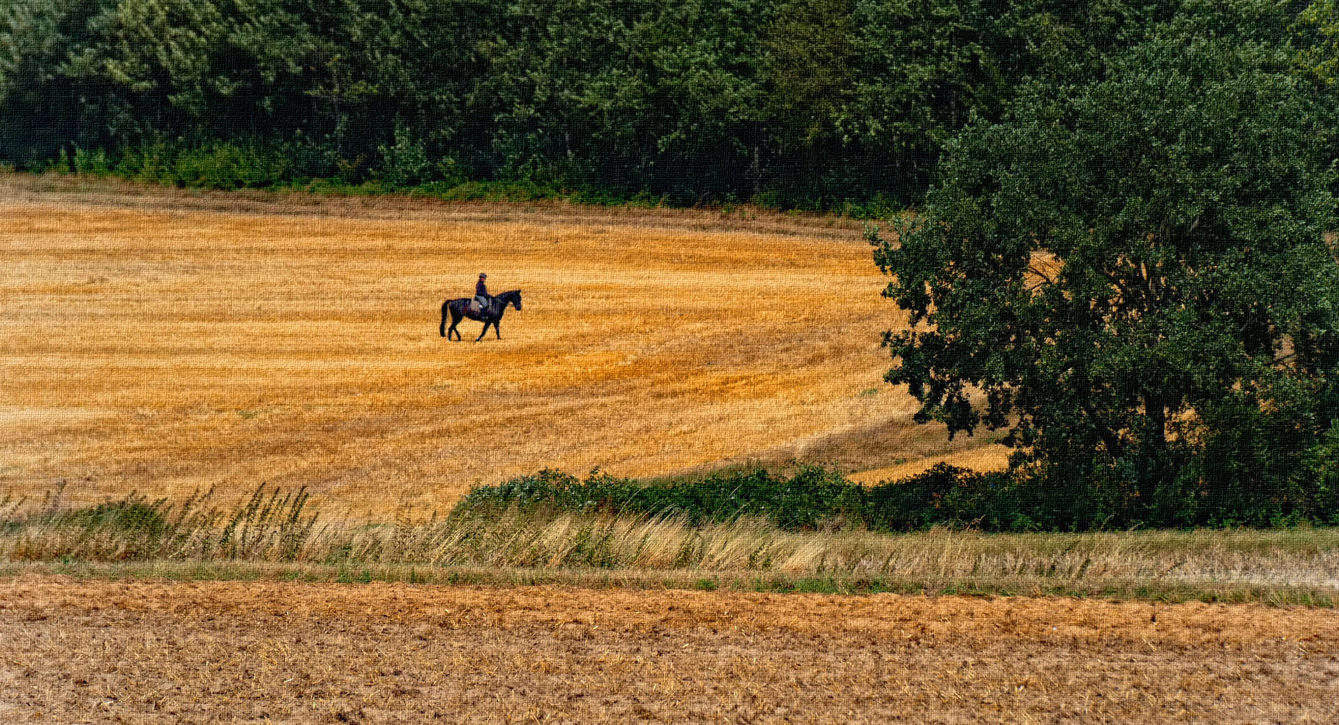 Der Reiter in der Feldmark