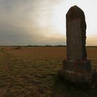 Der Reiterstein in der Garchinger Heide