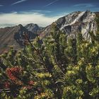 Der Reiz des Karwendel