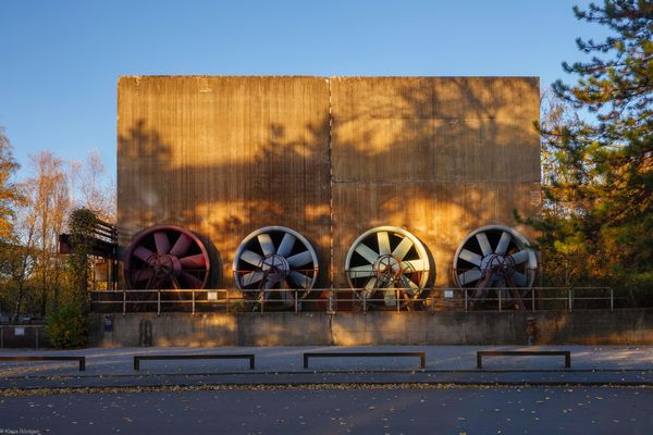 Der Reiz des Tageslichts