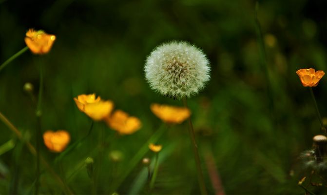 der Reiz des Vergänglichen