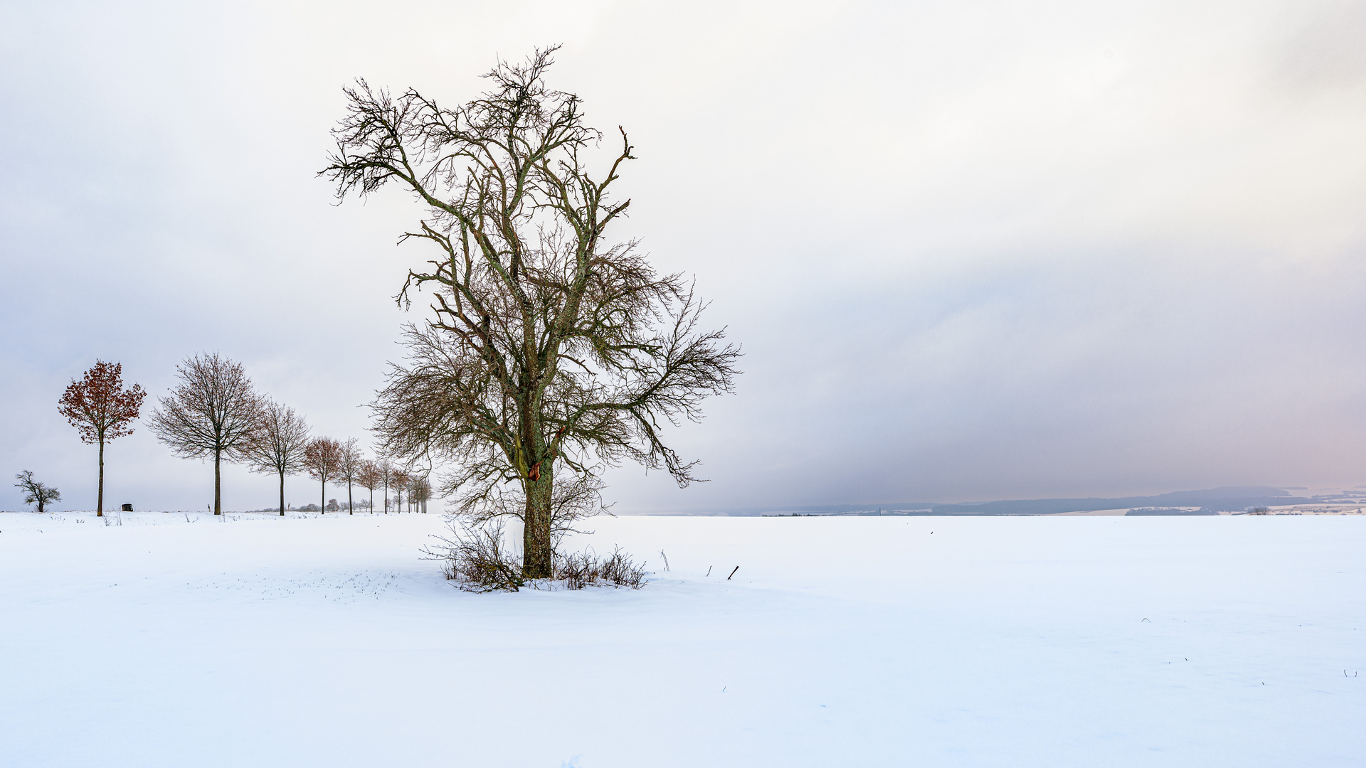 der Reiz des Winters