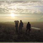 Der Reiz einer einsamen November Landschaft