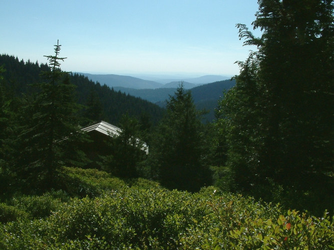 Der Rennsteig und sein Garten