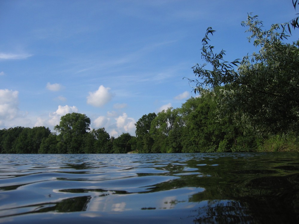 Der Rensinger See