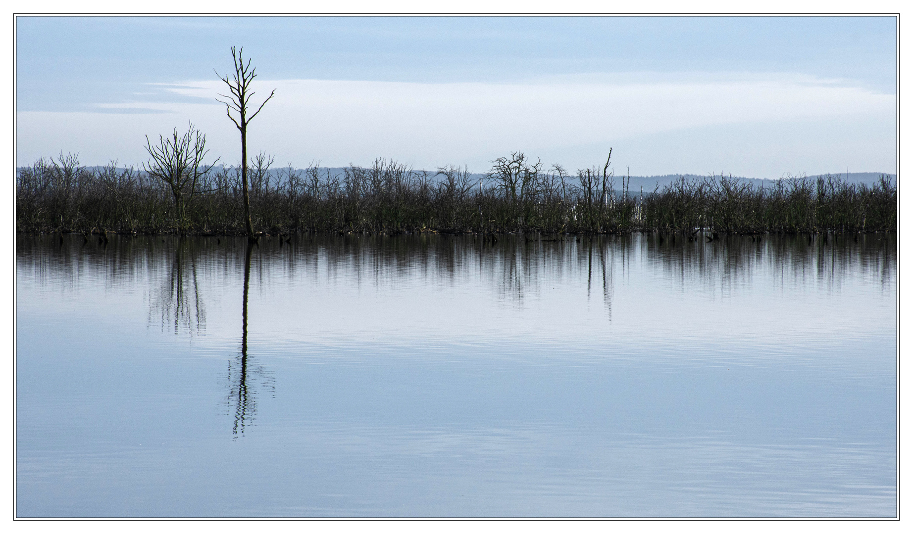 Der Rest der Vegetation