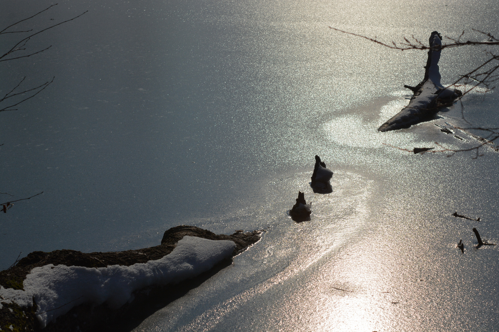 Der Rest des Baumes im Eiswasser