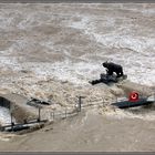 Der Rettungsring für die Bären