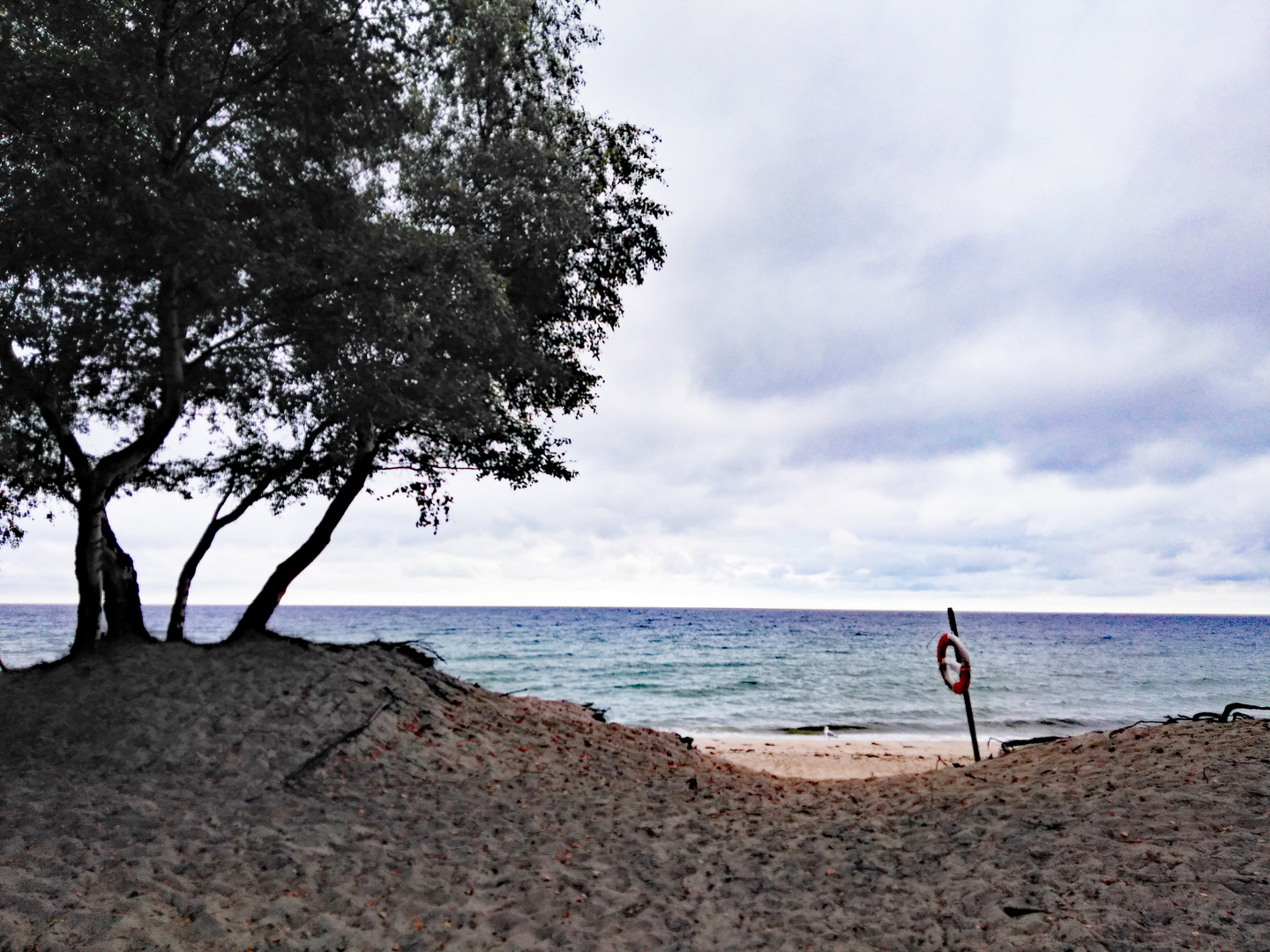 Der Rettungsring und das Meer.....