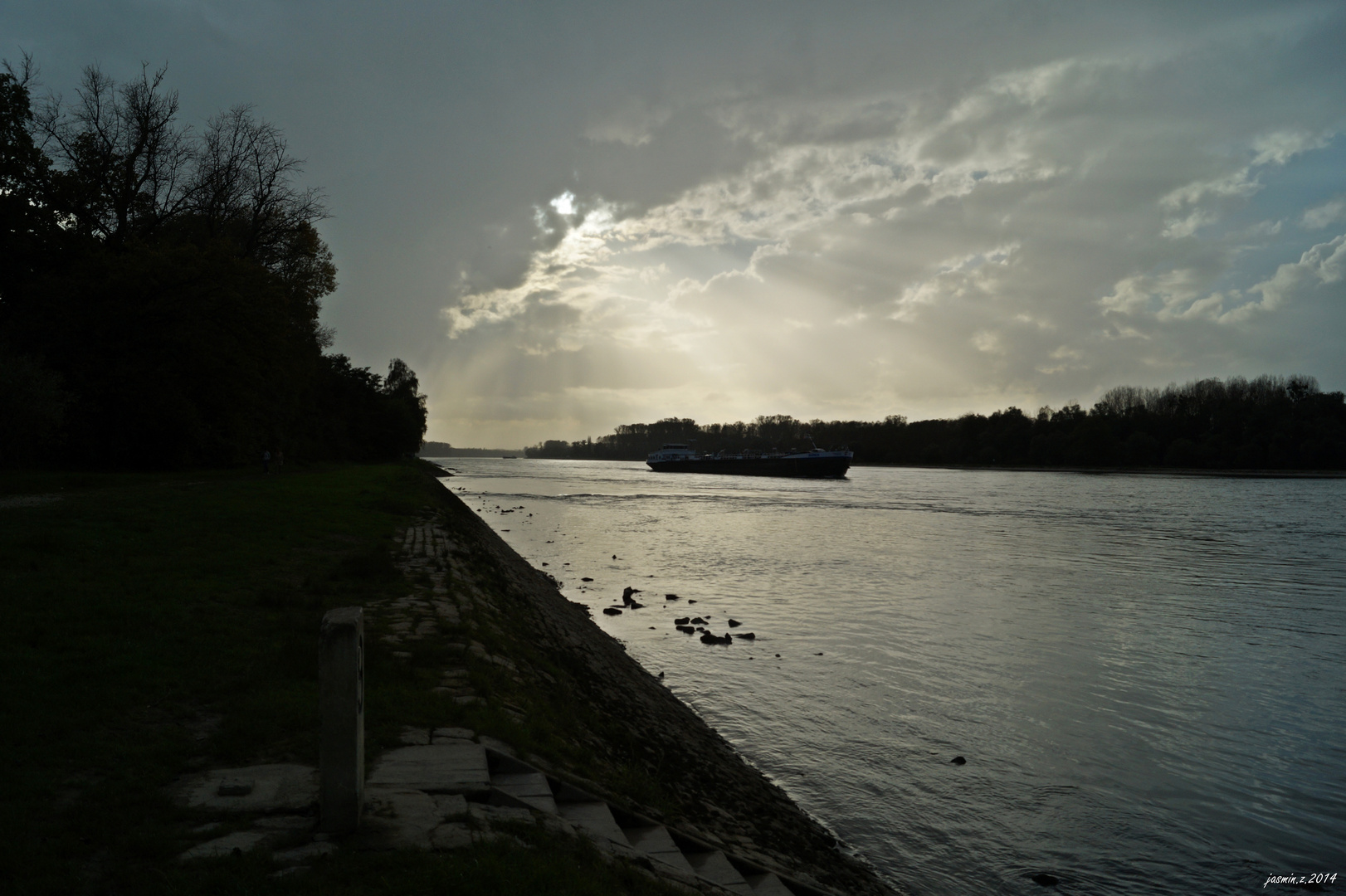 Der Rhein