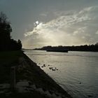 Der Rhein