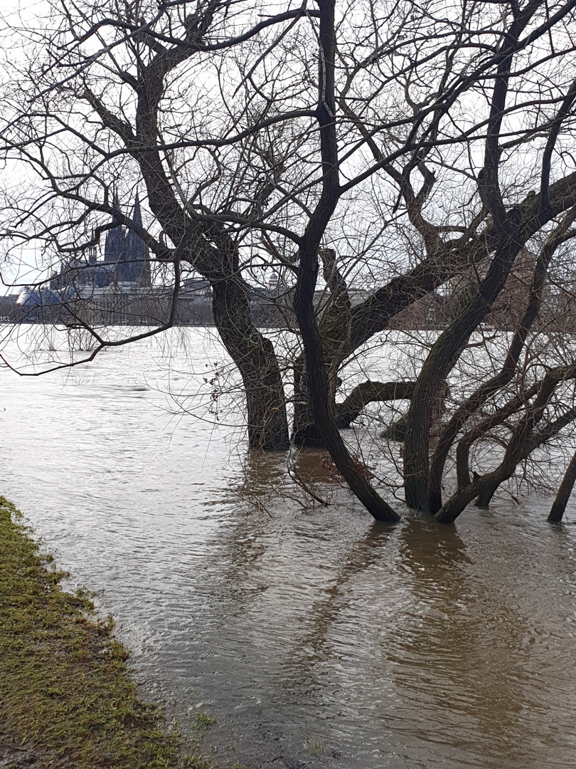 Der Rhein 22.12.23