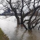 Der Rhein 22.12.23