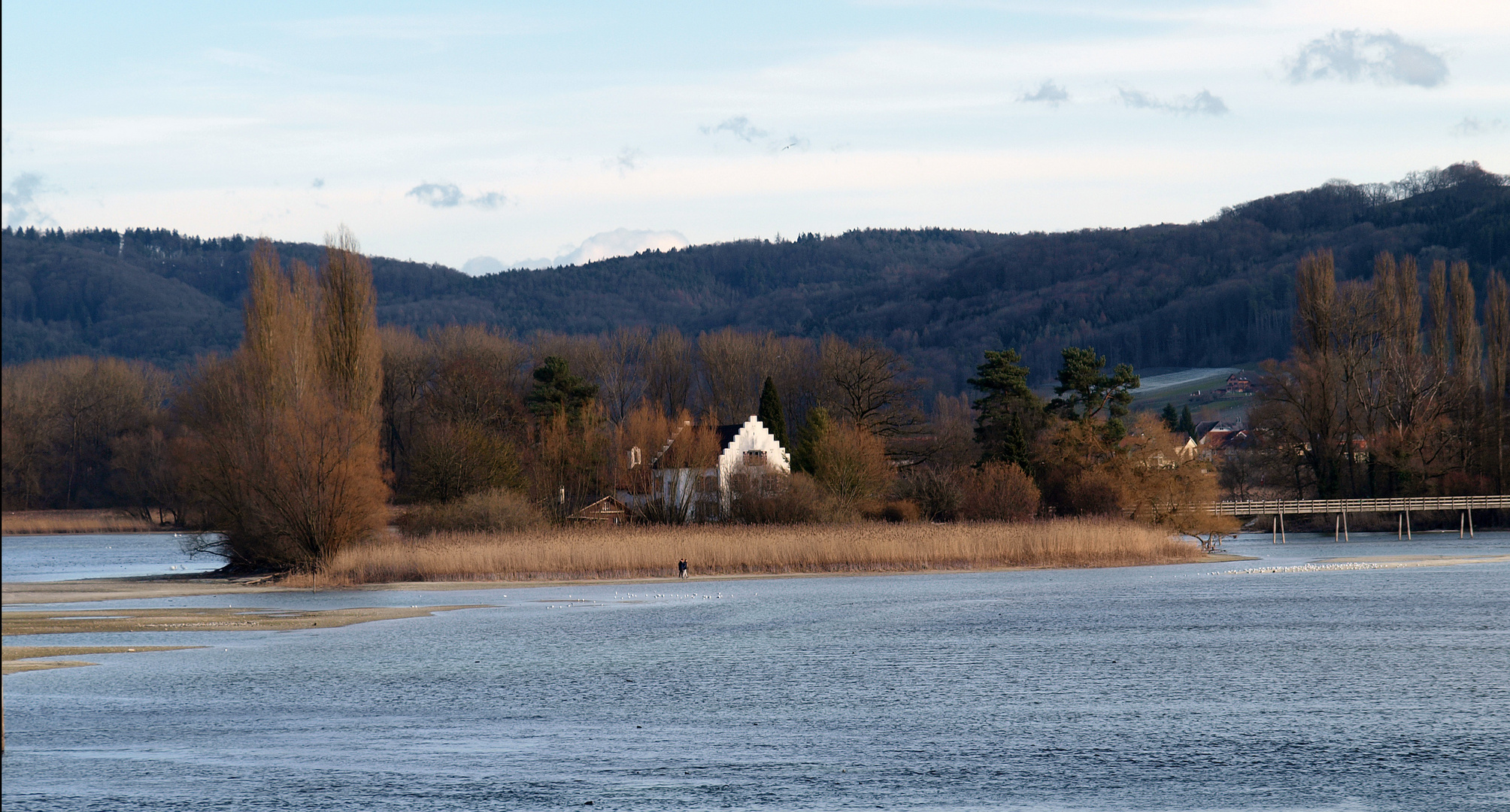 der Rhein