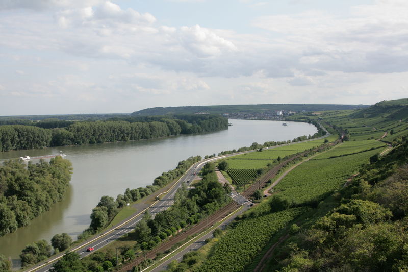 Der Rhein