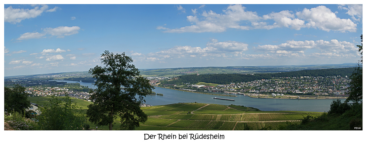 Der Rhein als Panorama